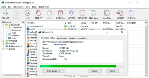 Internet download manager full crack free download